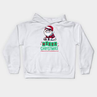 Merry Christmas Ragdoll Cat Kids Hoodie